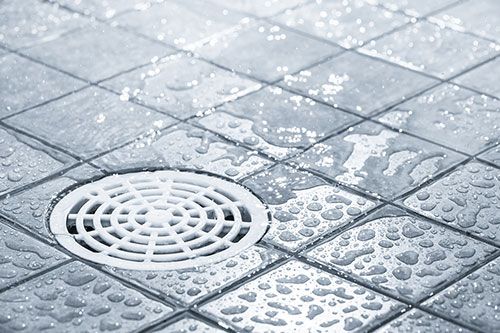 Close up image of a shower drain 