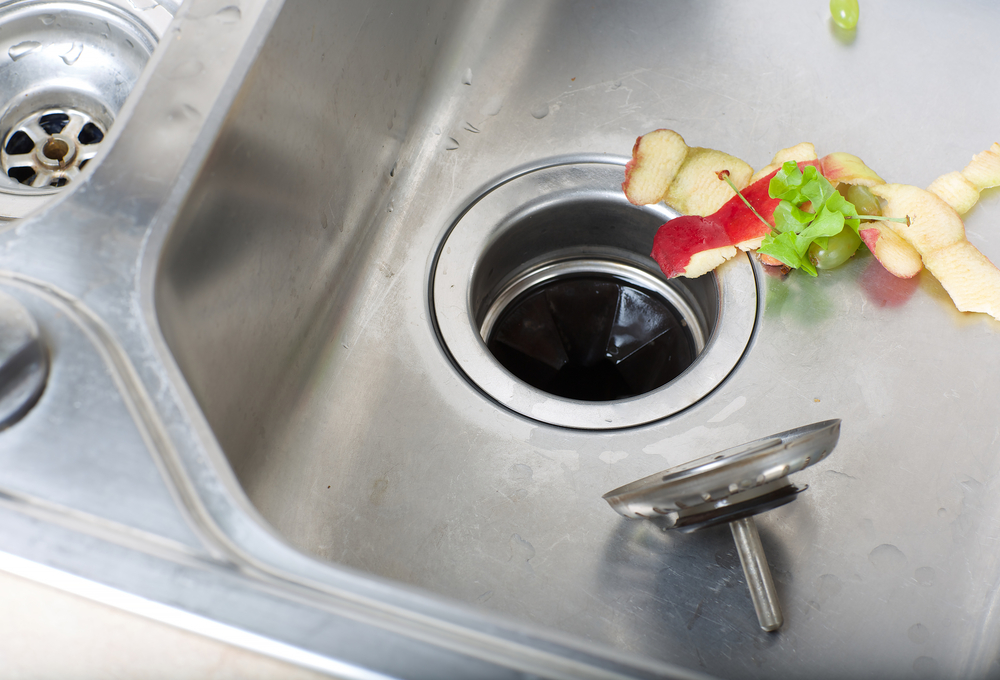 Garbage disposal with drain catcher and food sitting beside it in sink
